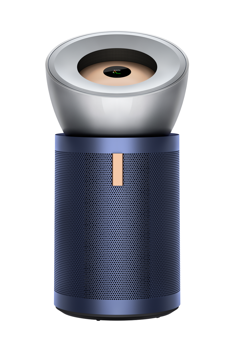Support | Dyson Purifier Big+Quiet Formaldehyde (BP03) | Dyson